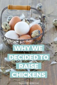 We decided to raise chickens to live a more sustainable life, to teach our son the responsibility of taking care of something, and to have more control over what we put on on the dinner table. Find out the benefits of raising backyard chickens and what it costs to get started.
