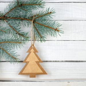 If you are on a small budget this year, decorating for the holidays can seem impossible. Here are 10 affordable ways to decorate your Christmas tree without breaking the bank.