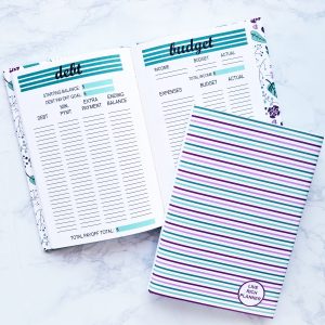 2018 Stripe Purple and Teal Live Rich Planner