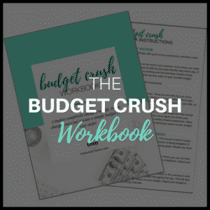 Budget Crush Workbook Sidebar