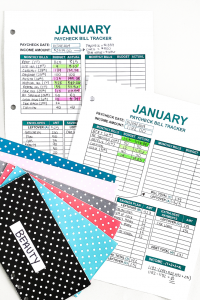 A detailed look into my January 2019 budget. Don't just blindly follow a budget. Understand the reasons behind your financial choices, and look at what your budget is telling you.