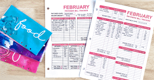 A detailed look into my February 2019 budget. Don't just blindly follow a budget. Understand the reasons behind your financial choices, and look at what your budget is telling you.