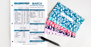 A detailed look into my March 2019 budget. Don't just blindly follow a budget. Understand the reasons behind your financial choices, and look at what your budget is telling you.